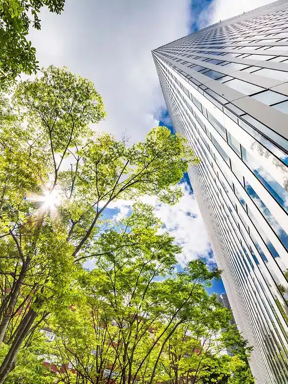 Photo of skyscraper with a green tree in view from the perspective of looking up.